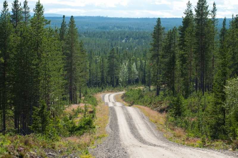 Szlakiem czerwonej drogi